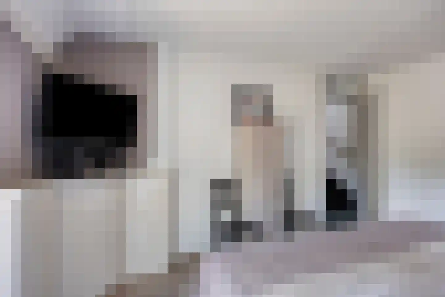 Brabanthoeven 22 Rosmalen thumbnail 18