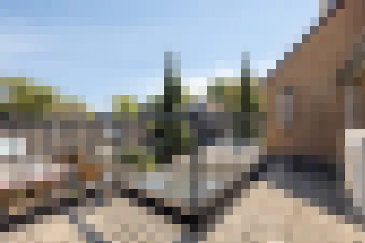 Brabanthoeven 22 Rosmalen thumbnail 19