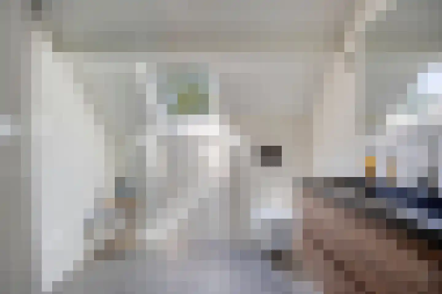 Brabanthoeven 22 Rosmalen thumbnail 24