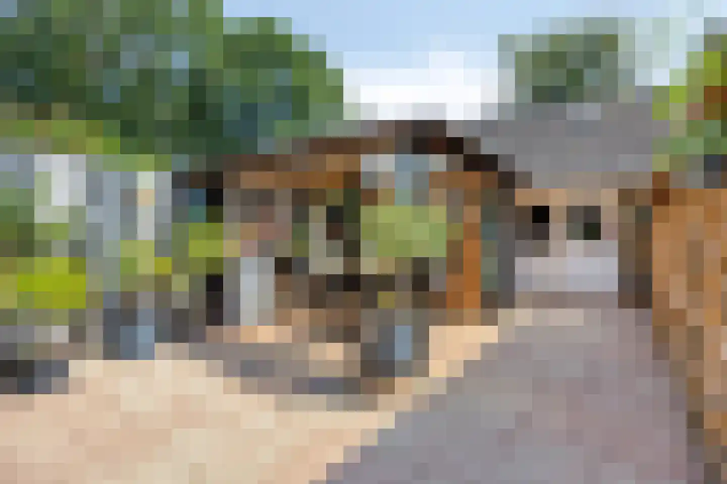 Brabanthoeven 22 Rosmalen thumbnail 28