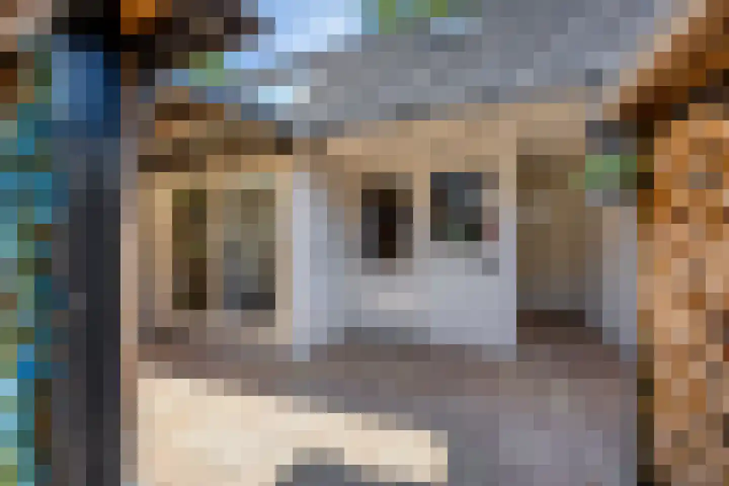 Brabanthoeven 22 Rosmalen thumbnail 30