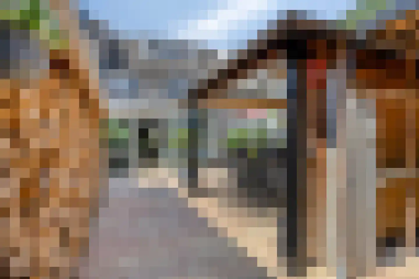 Brabanthoeven 22 Rosmalen thumbnail 31
