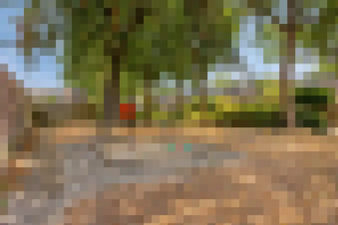 Brabanthoeven 22 Rosmalen thumbnail 36