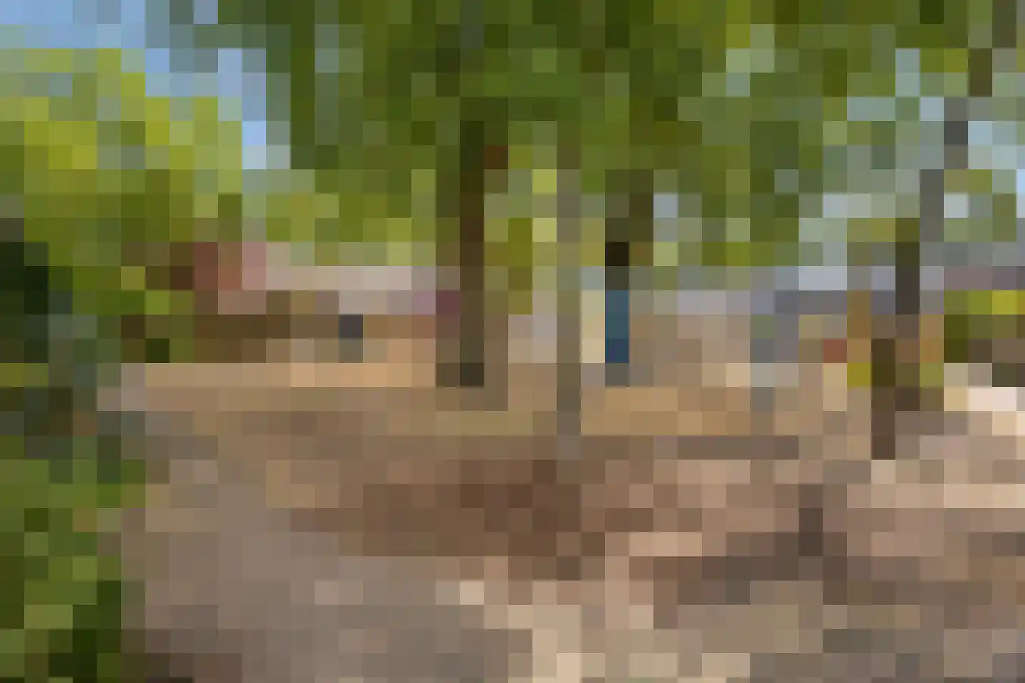 Brabanthoeven 22 Rosmalen thumbnail 37