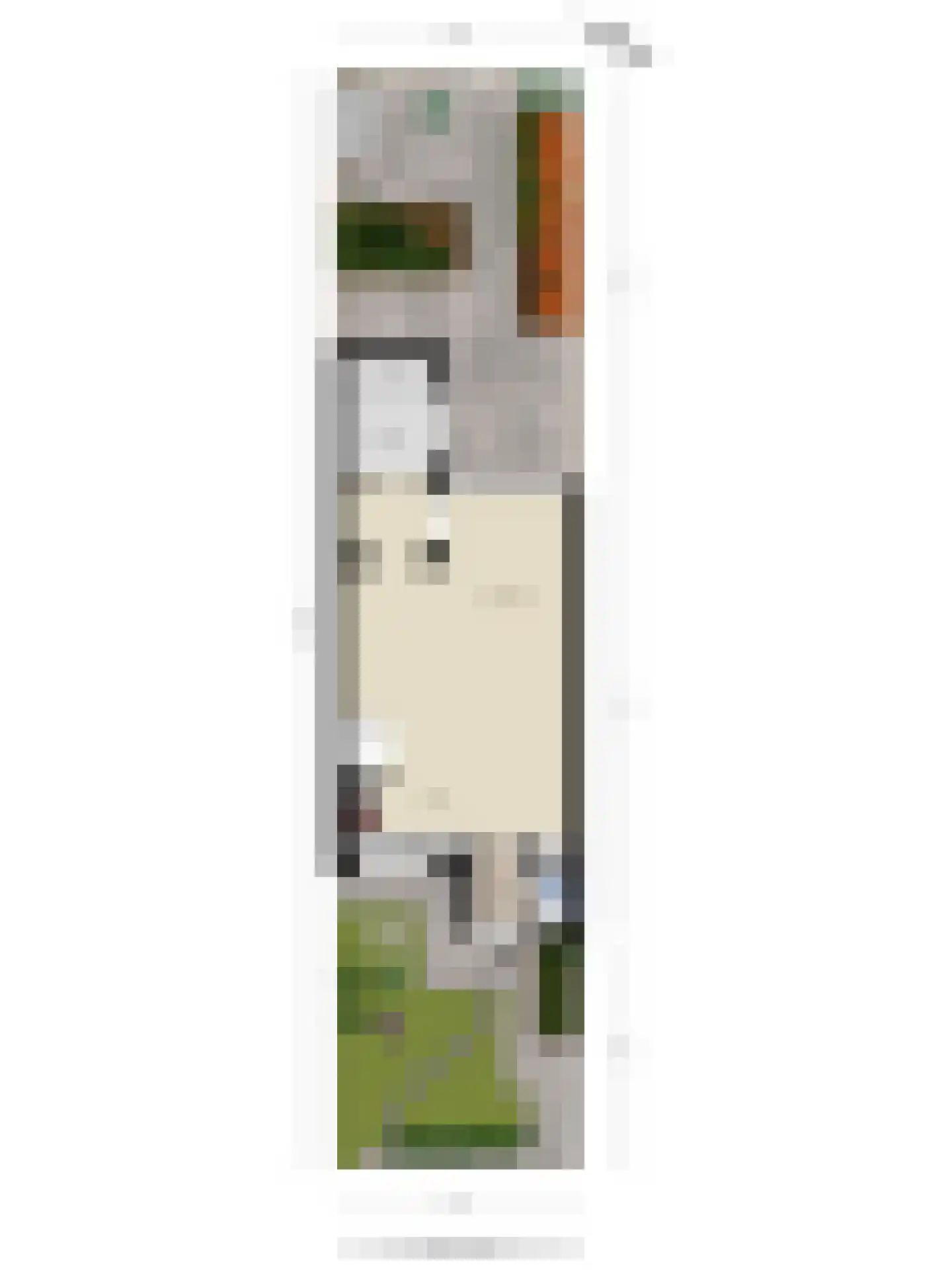 Brabanthoeven 231 Rosmalen thumbnail 32
