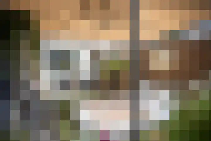 Brabanthoeven 237 Rosmalen thumbnail 11