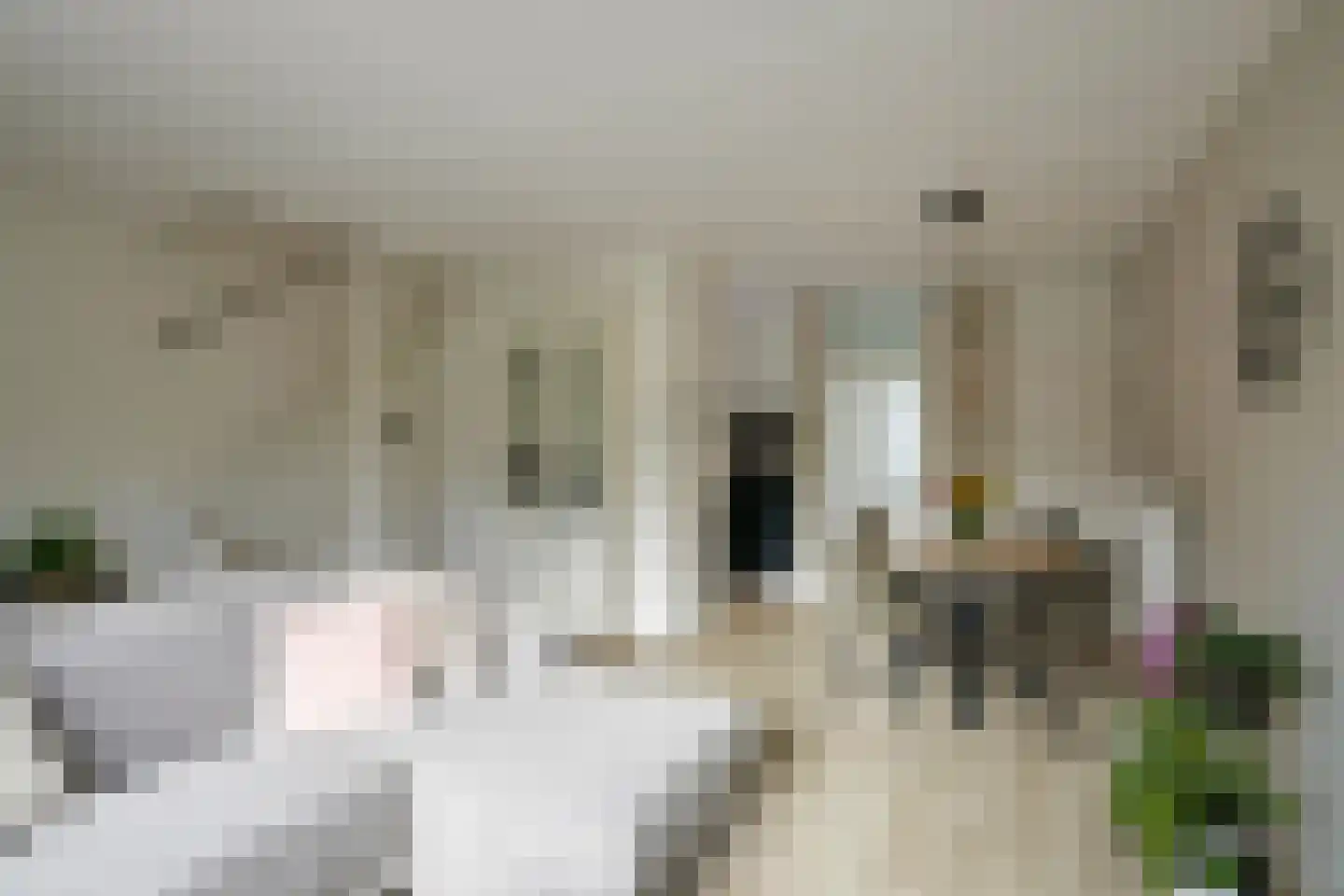 Brabanthoeven 237 Rosmalen thumbnail 12