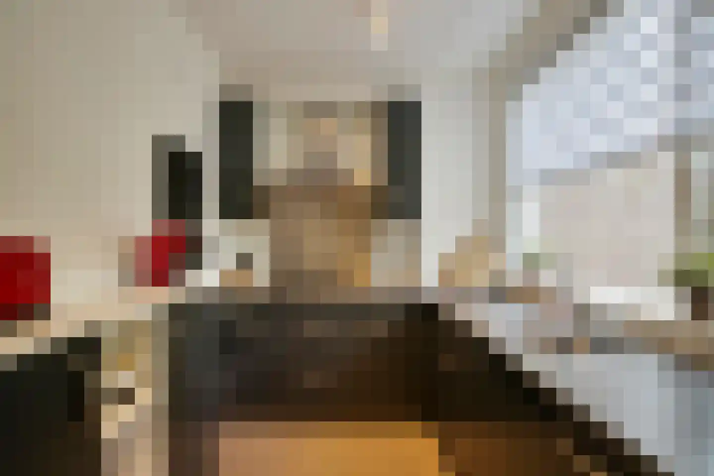 Brabanthoeven 237 Rosmalen thumbnail 14