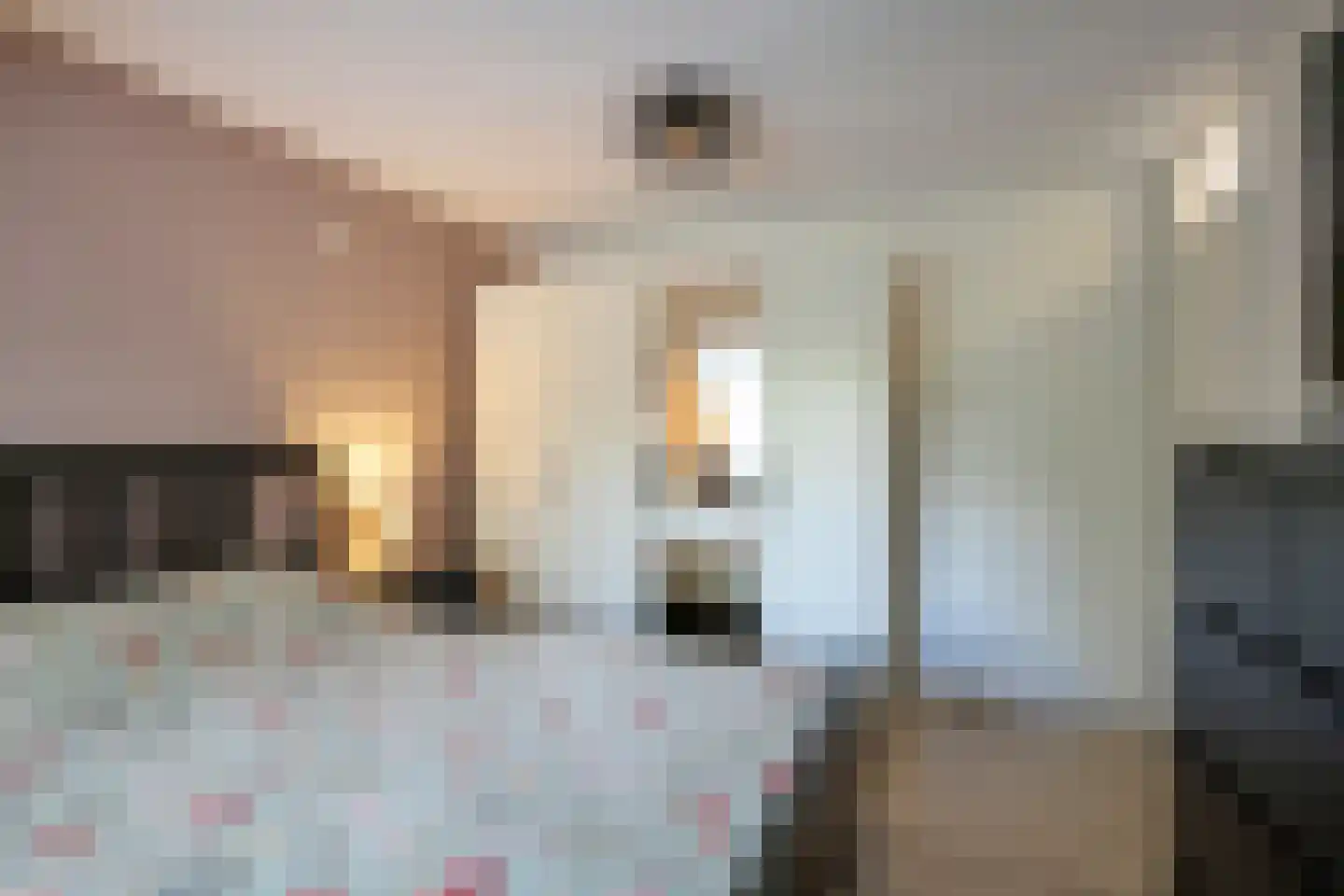 Brabanthoeven 237 Rosmalen thumbnail 20