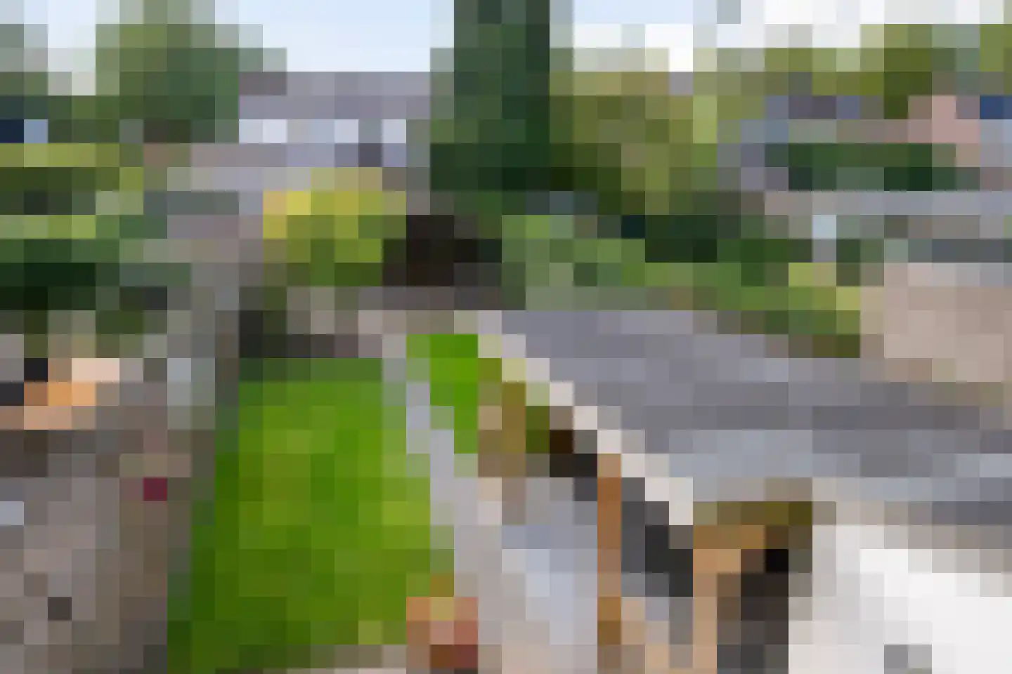 Brabanthoeven 237 Rosmalen thumbnail 23