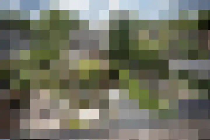 Brabanthoeven 237 Rosmalen thumbnail 28