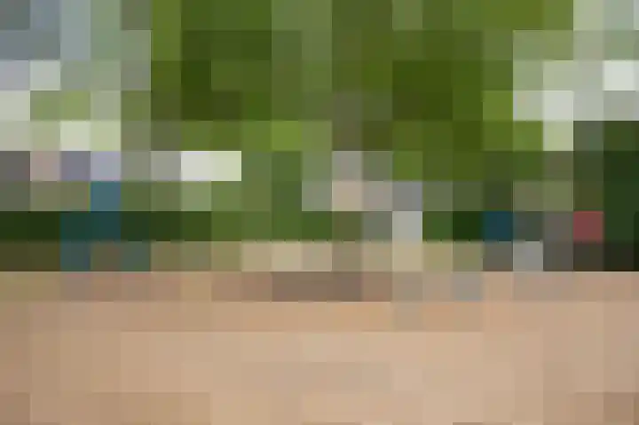 Brabanthoeven 237 Rosmalen thumbnail 31