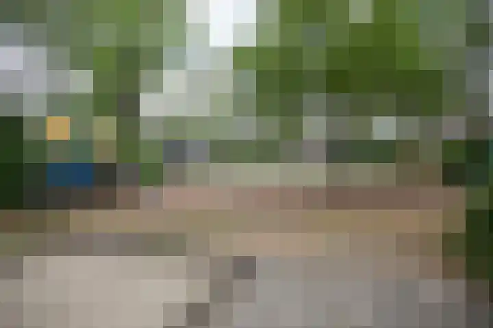 Brabanthoeven 237 Rosmalen thumbnail 32
