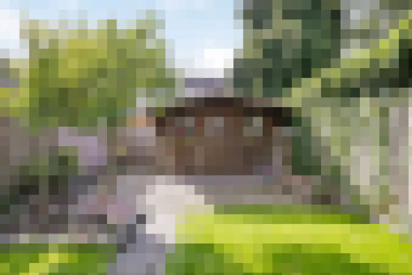 Brabanthoeven 237 Rosmalen thumbnail 34