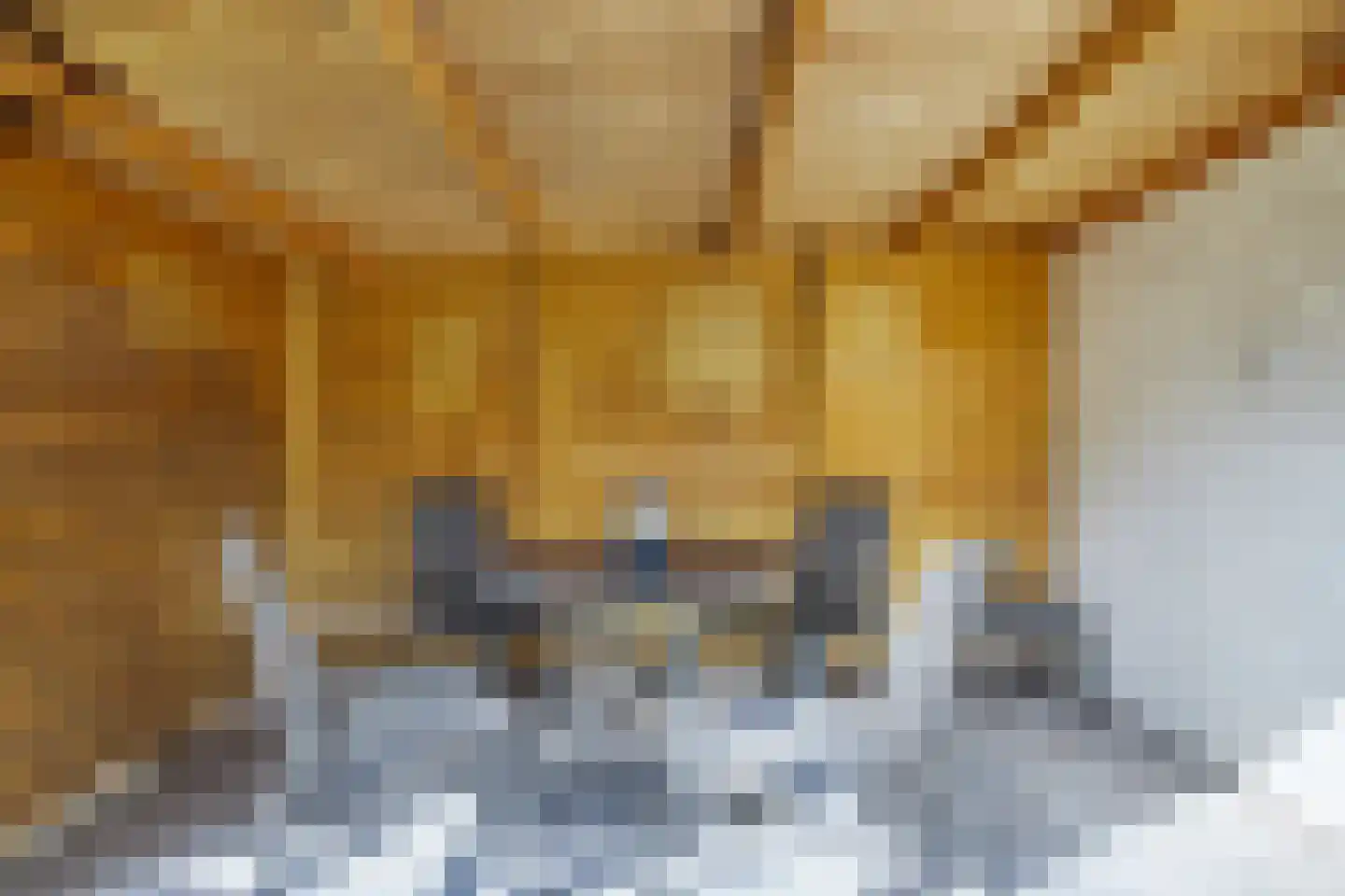 Brabanthoeven 237 Rosmalen thumbnail 36