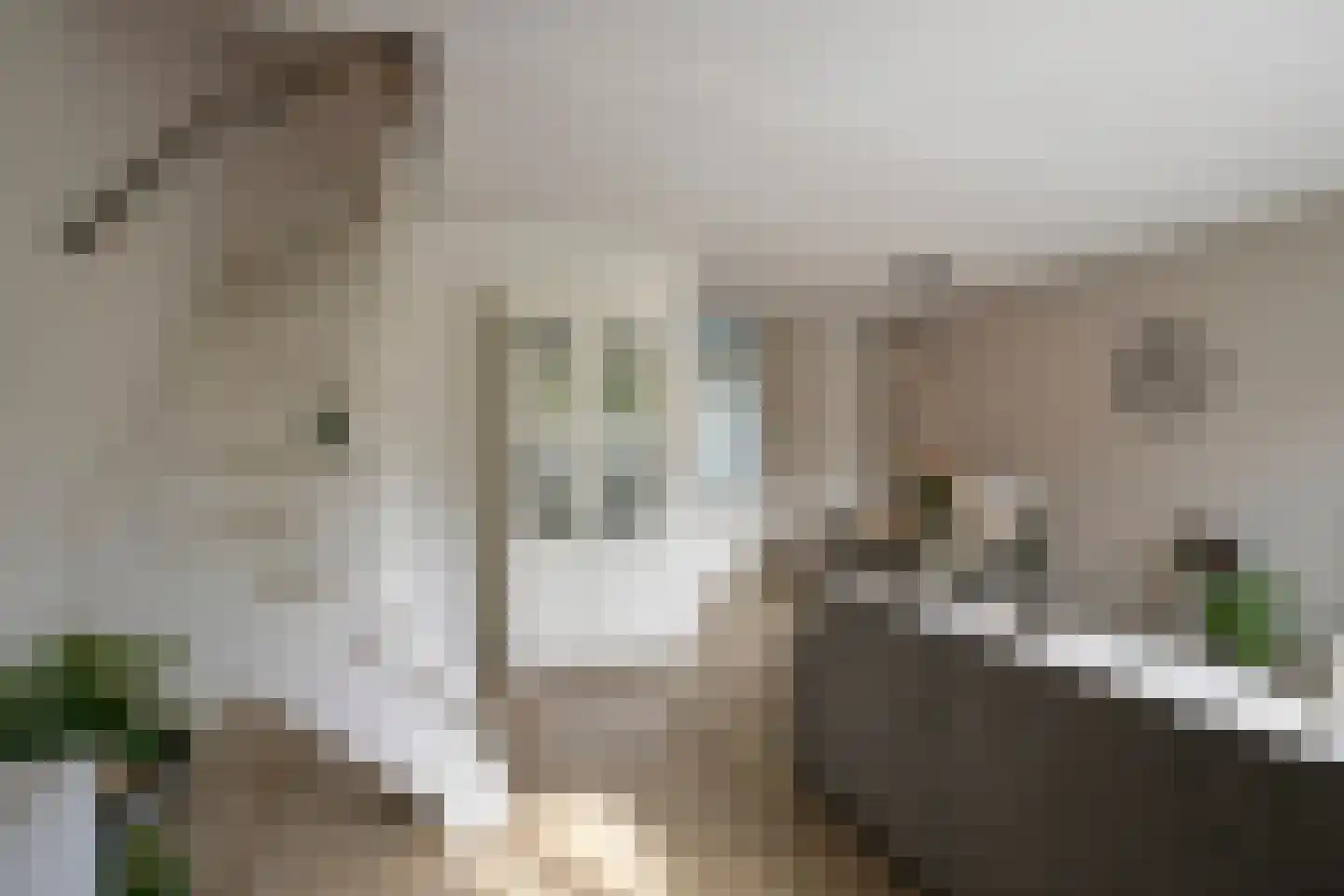 Brabanthoeven 237 Rosmalen thumbnail 4