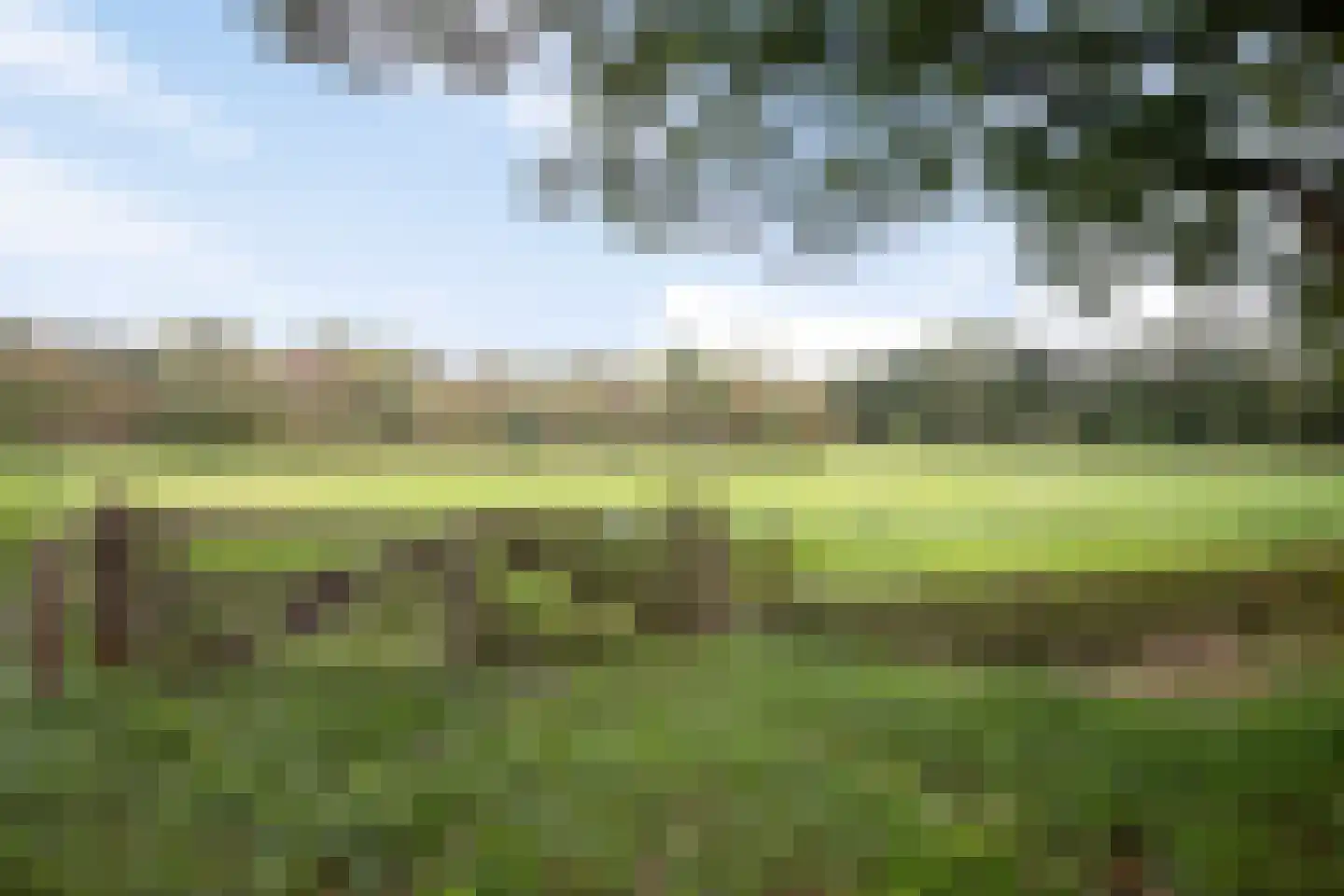 Brabanthoeven 237 Rosmalen thumbnail 40