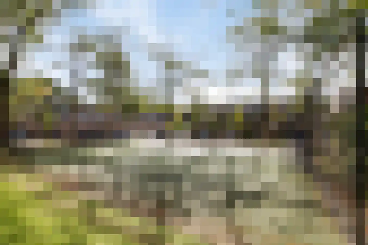 Brabanthoeven 237 Rosmalen thumbnail 42