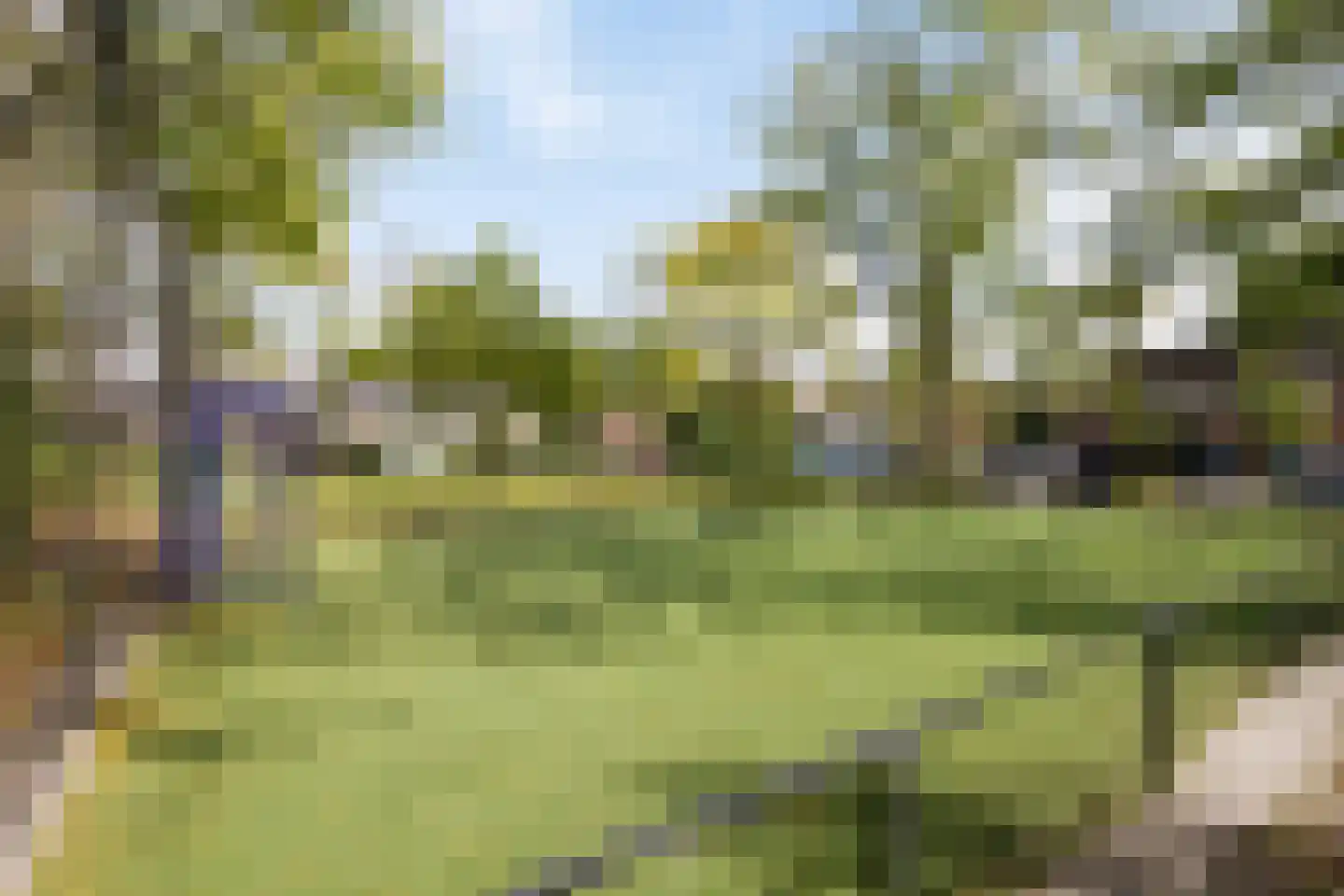 Brabanthoeven 237 Rosmalen thumbnail 43