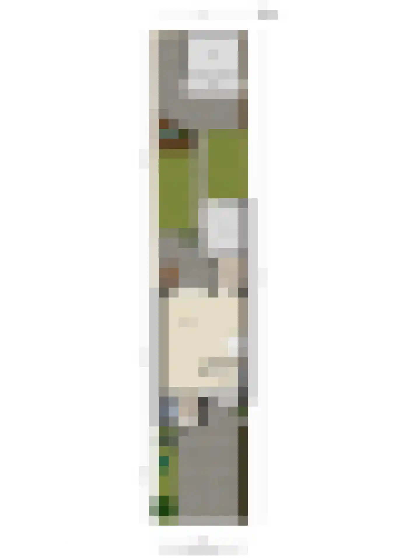 Brabanthoeven 237 Rosmalen thumbnail 47