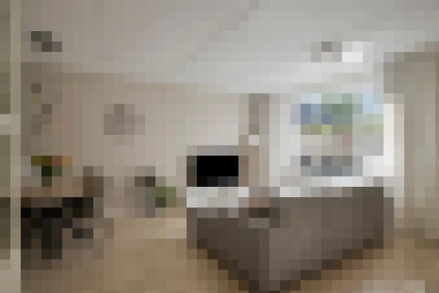 Brabanthoeven 237 Rosmalen thumbnail 6