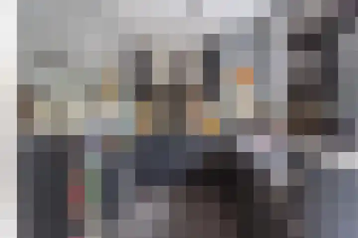 Brabanthoeven 237 Rosmalen thumbnail 7