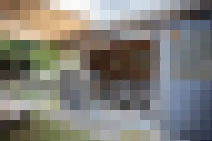Brabanthoeven 237 Rosmalen thumbnail 9