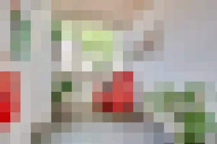 Brabanthoeven 25 Rosmalen thumbnail 10