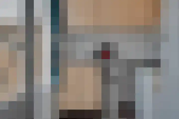 Brabanthoeven 25 Rosmalen thumbnail 13