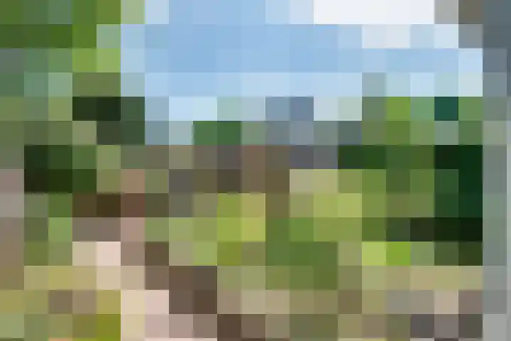 Brabanthoeven 25 Rosmalen thumbnail 26
