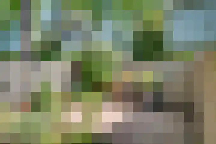 Brabanthoeven 25 Rosmalen thumbnail 29