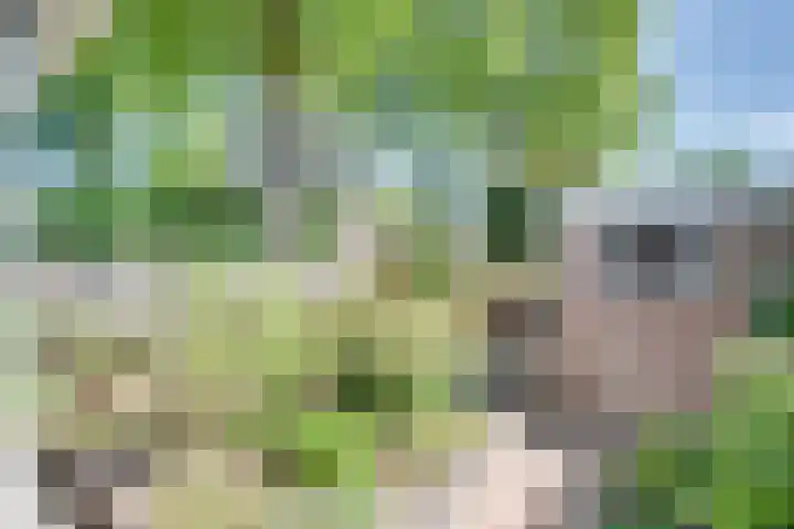 Brabanthoeven 25 Rosmalen thumbnail 30