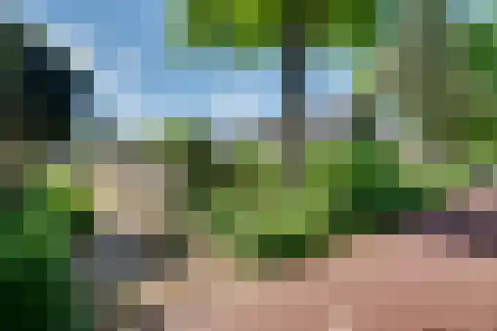 Brabanthoeven 25 Rosmalen thumbnail 32
