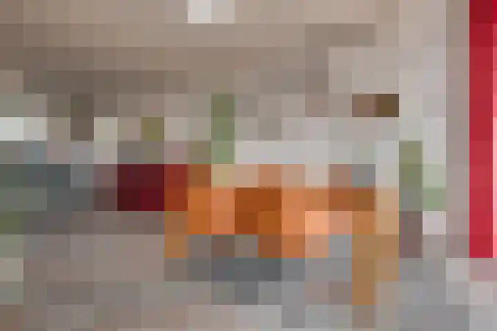 Brabanthoeven 25 Rosmalen thumbnail 8