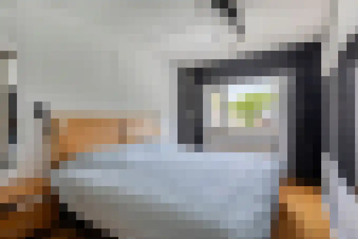 Brabanthoeven 43 Rosmalen thumbnail 16
