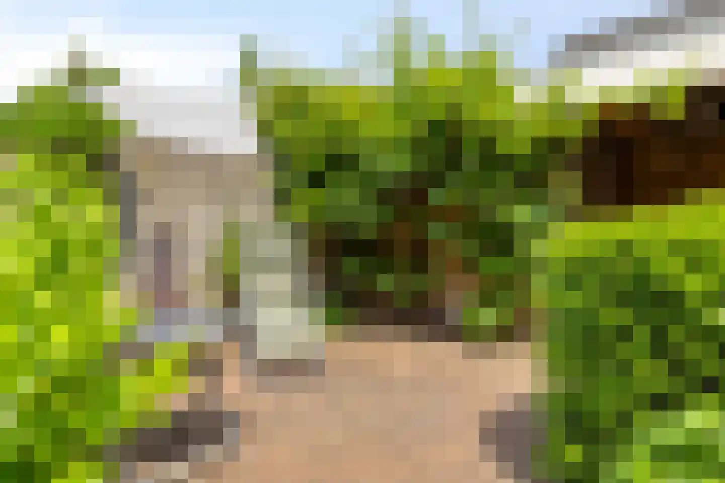 Brabanthoeven 43 Rosmalen thumbnail 27