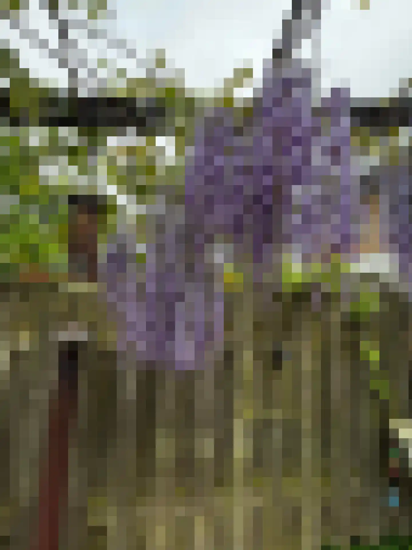 Brabanthoeven 43 Rosmalen thumbnail 29