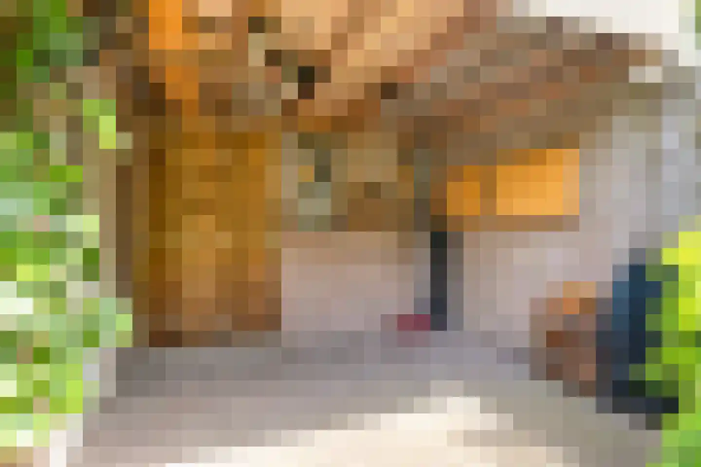 Brabanthoeven 43 Rosmalen thumbnail 31