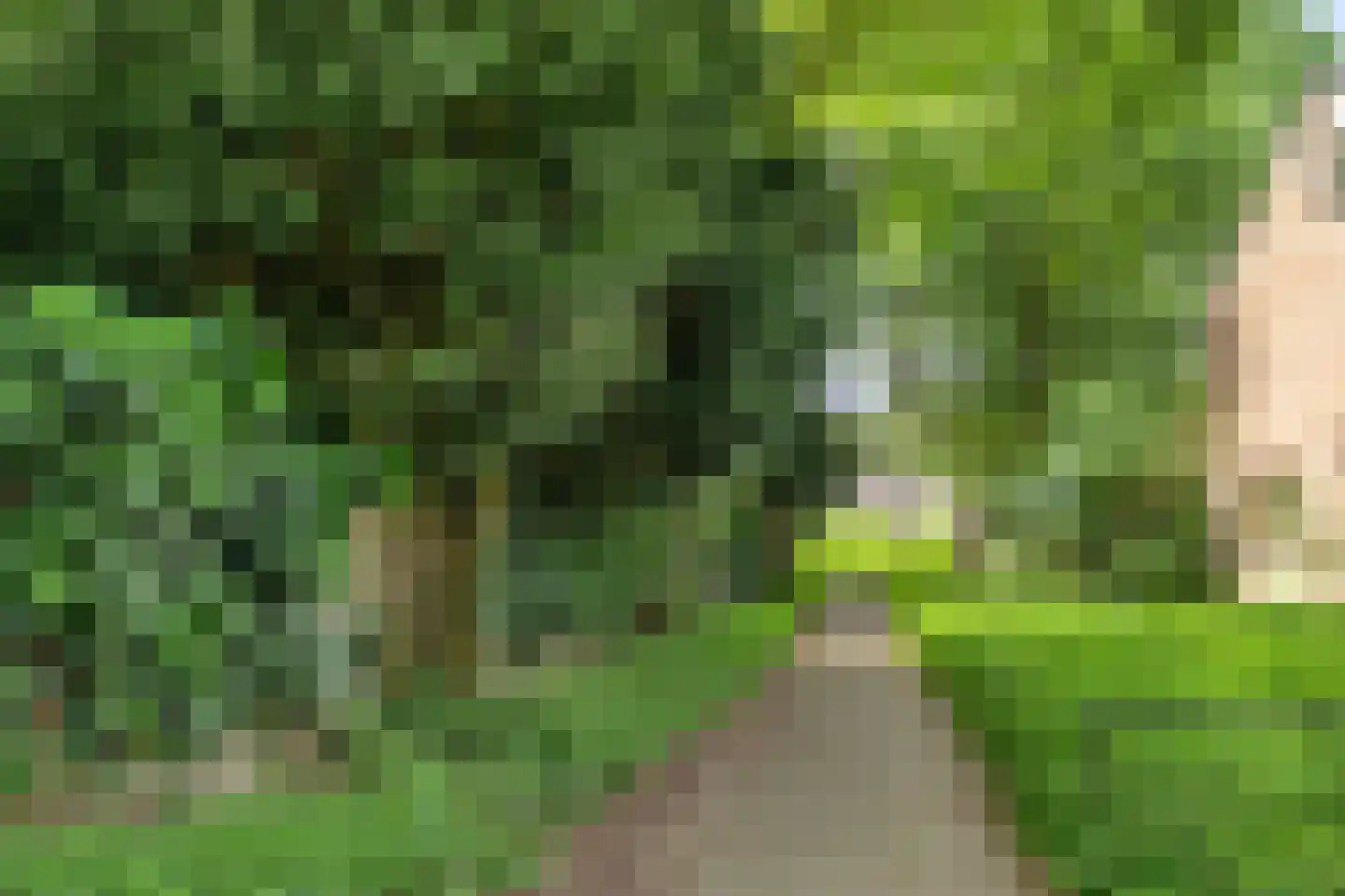 Brabanthoeven 43 Rosmalen thumbnail 32