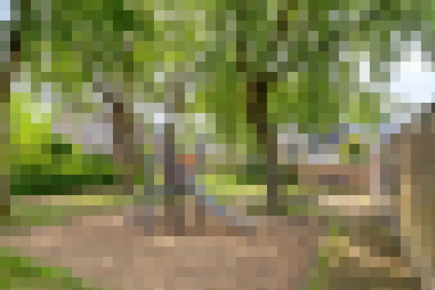 Brabanthoeven 43 Rosmalen thumbnail 33