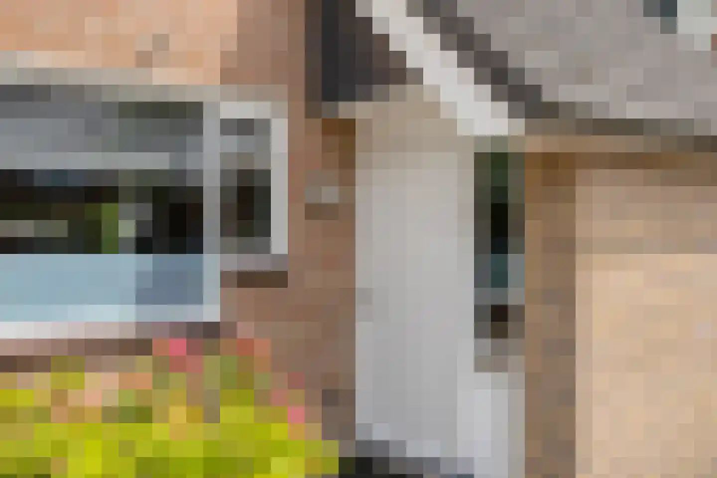 Brabanthoeven 43 Rosmalen thumbnail 4