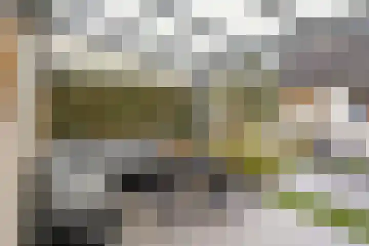 Brabanthoeven 50 Rosmalen thumbnail 28
