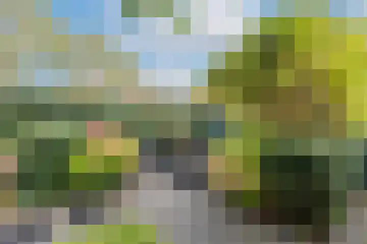Brabanthoeven 54 Rosmalen thumbnail 26