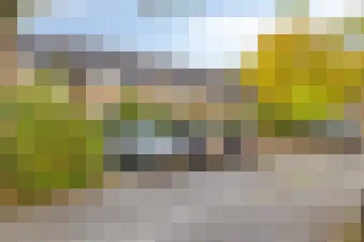 Brabanthoeven 54 Rosmalen thumbnail 27