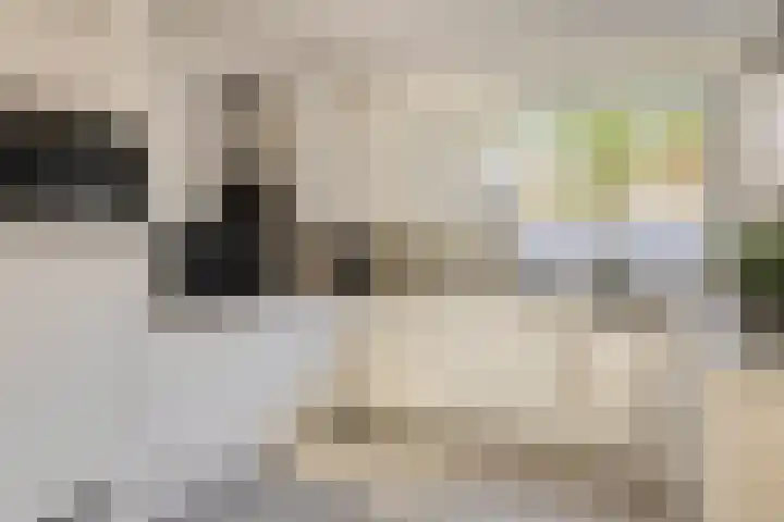 Brabanthoeven 54 Rosmalen thumbnail 8