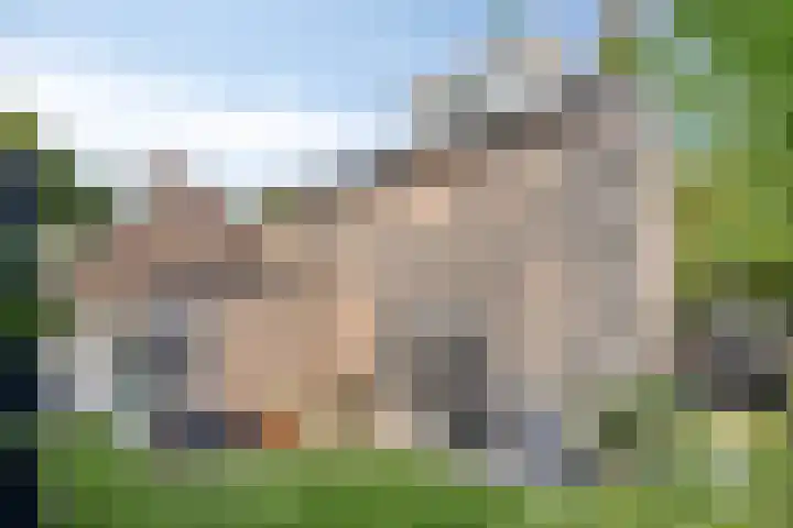 Brabanthoeven 58 A Rosmalen thumbnail 32