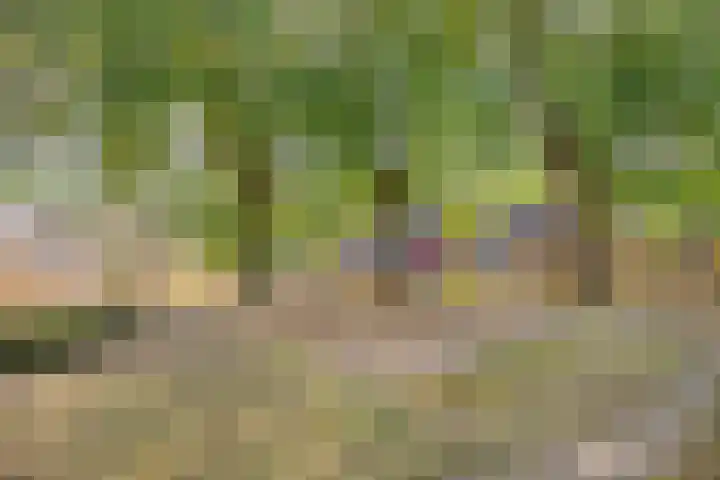 Brabanthoeven 58 A Rosmalen thumbnail 34