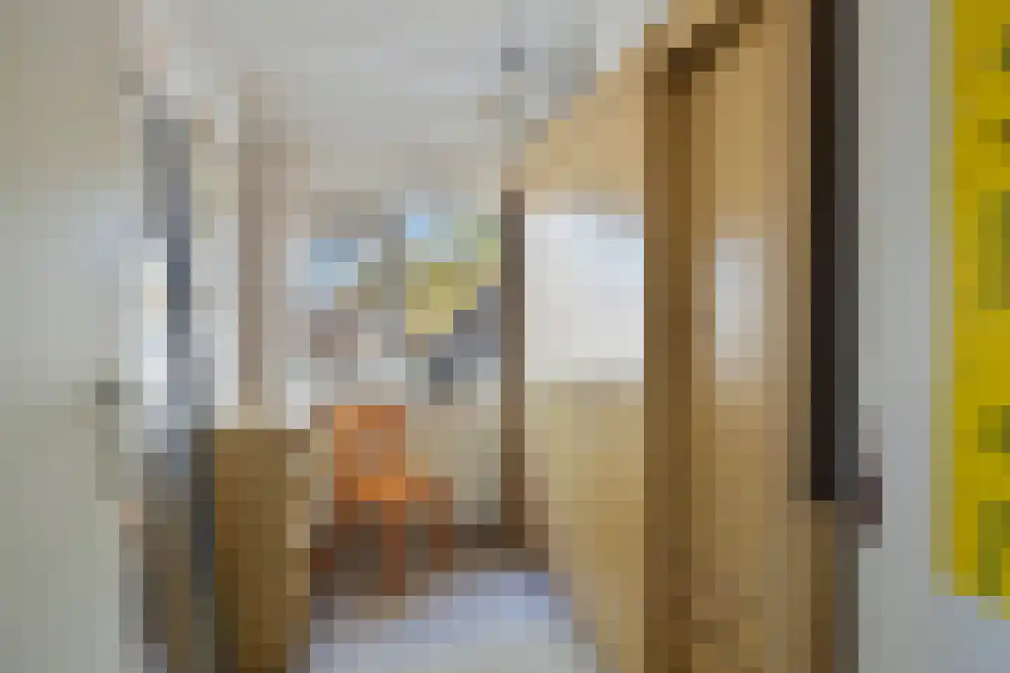 Brabanthoeven 62 Rosmalen thumbnail 18