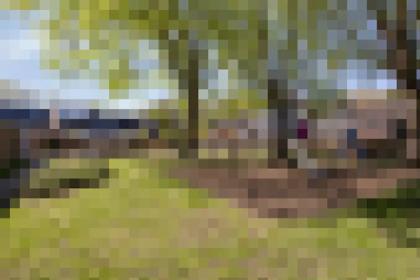 Brabanthoeven 62 Rosmalen thumbnail 31