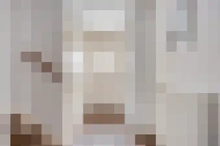Brabanthof 12 Helmond thumbnail 11